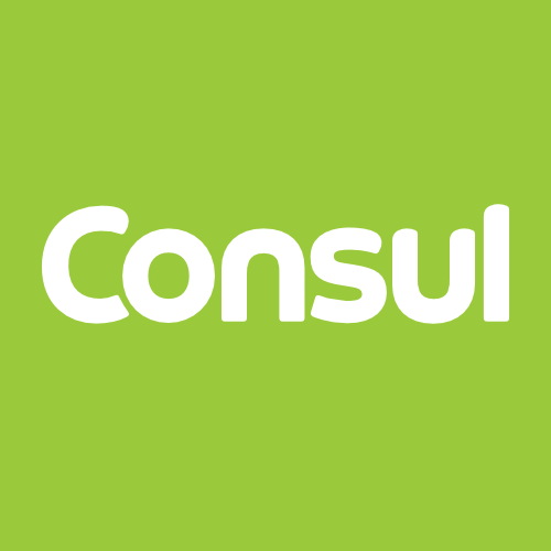 Consul Paraguay logo